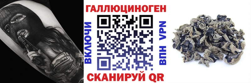 Галлюциногенные грибы ЛСД  KRAKEN зеркало  Искитим 